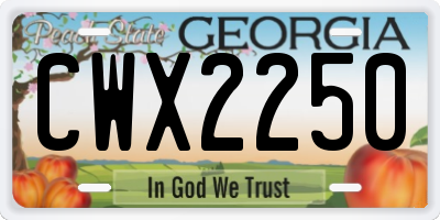 GA license plate CWX2250