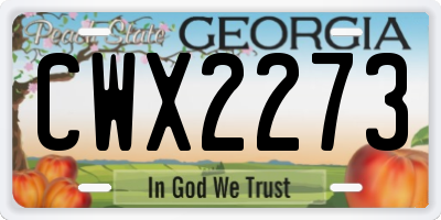 GA license plate CWX2273