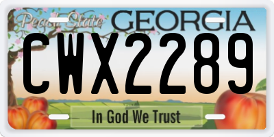 GA license plate CWX2289