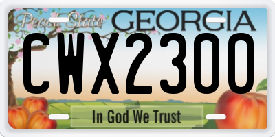 GA license plate CWX2300