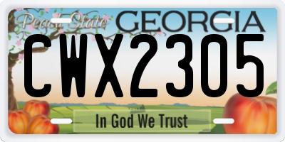 GA license plate CWX2305