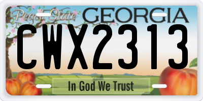 GA license plate CWX2313