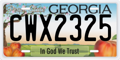 GA license plate CWX2325