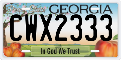 GA license plate CWX2333
