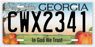 GA license plate CWX2341