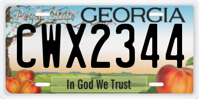GA license plate CWX2344