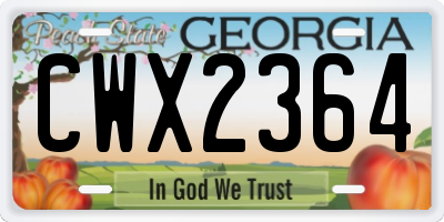 GA license plate CWX2364