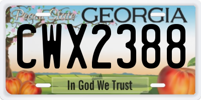 GA license plate CWX2388