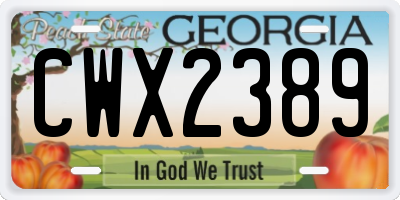 GA license plate CWX2389