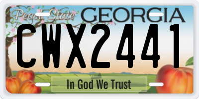 GA license plate CWX2441