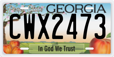 GA license plate CWX2473
