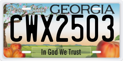GA license plate CWX2503