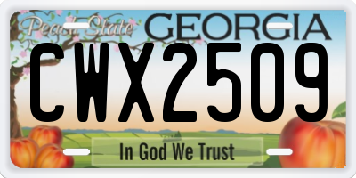 GA license plate CWX2509