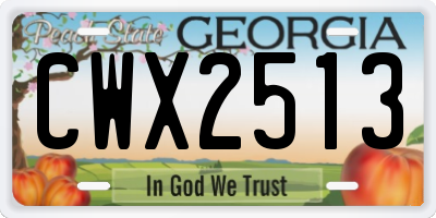 GA license plate CWX2513