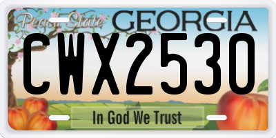 GA license plate CWX2530
