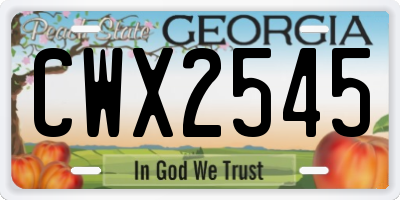 GA license plate CWX2545