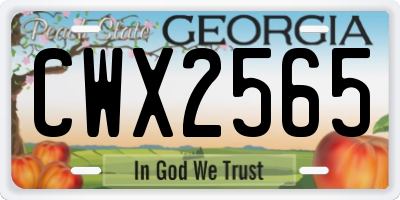 GA license plate CWX2565