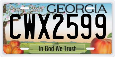 GA license plate CWX2599