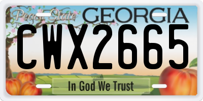 GA license plate CWX2665