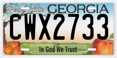 GA license plate CWX2733