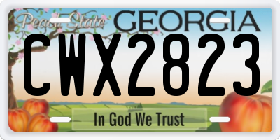 GA license plate CWX2823