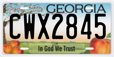 GA license plate CWX2845