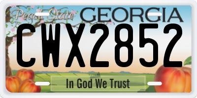 GA license plate CWX2852