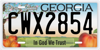 GA license plate CWX2854