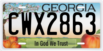 GA license plate CWX2863