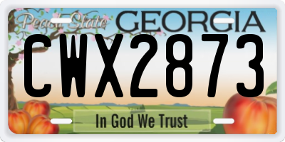 GA license plate CWX2873