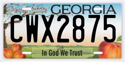GA license plate CWX2875