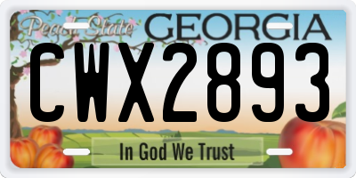 GA license plate CWX2893