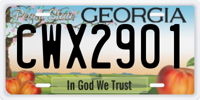 GA license plate CWX2901