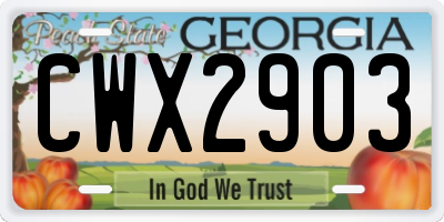 GA license plate CWX2903