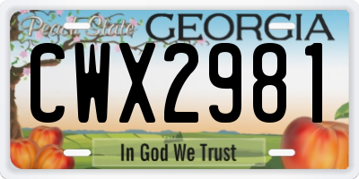 GA license plate CWX2981