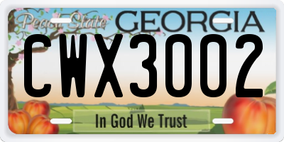 GA license plate CWX3002
