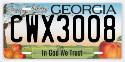 GA license plate CWX3008