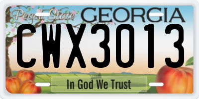 GA license plate CWX3013