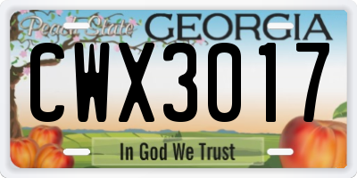 GA license plate CWX3017