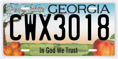 GA license plate CWX3018