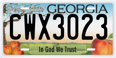 GA license plate CWX3023
