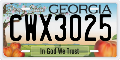 GA license plate CWX3025