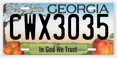 GA license plate CWX3035