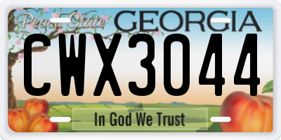GA license plate CWX3044