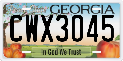 GA license plate CWX3045