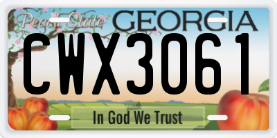 GA license plate CWX3061