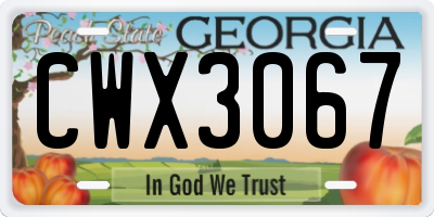 GA license plate CWX3067
