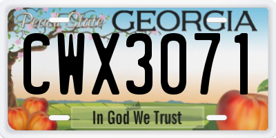 GA license plate CWX3071