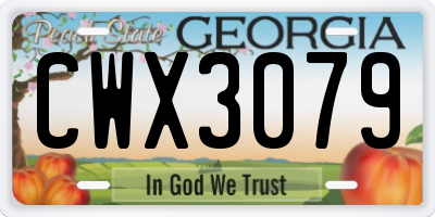 GA license plate CWX3079
