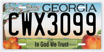 GA license plate CWX3099